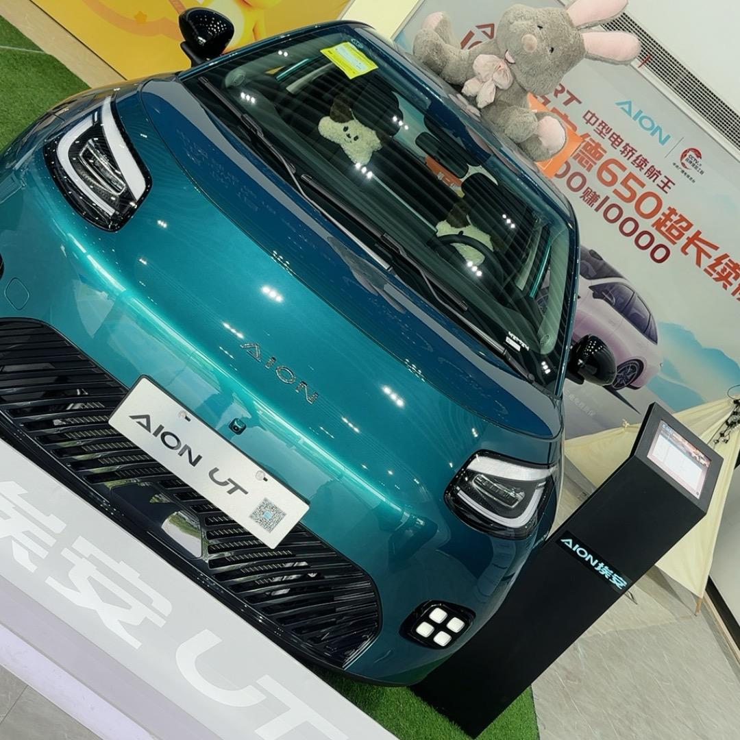 嘉杭埃安厂家直营店-小陆