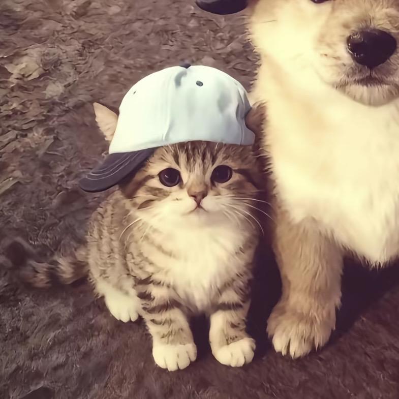 健康快乐平安又暴富的大美女