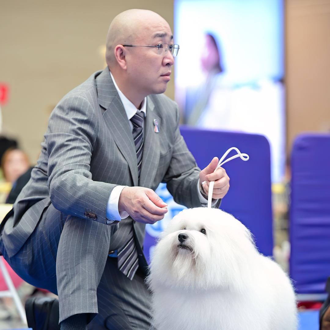 光头奶爸