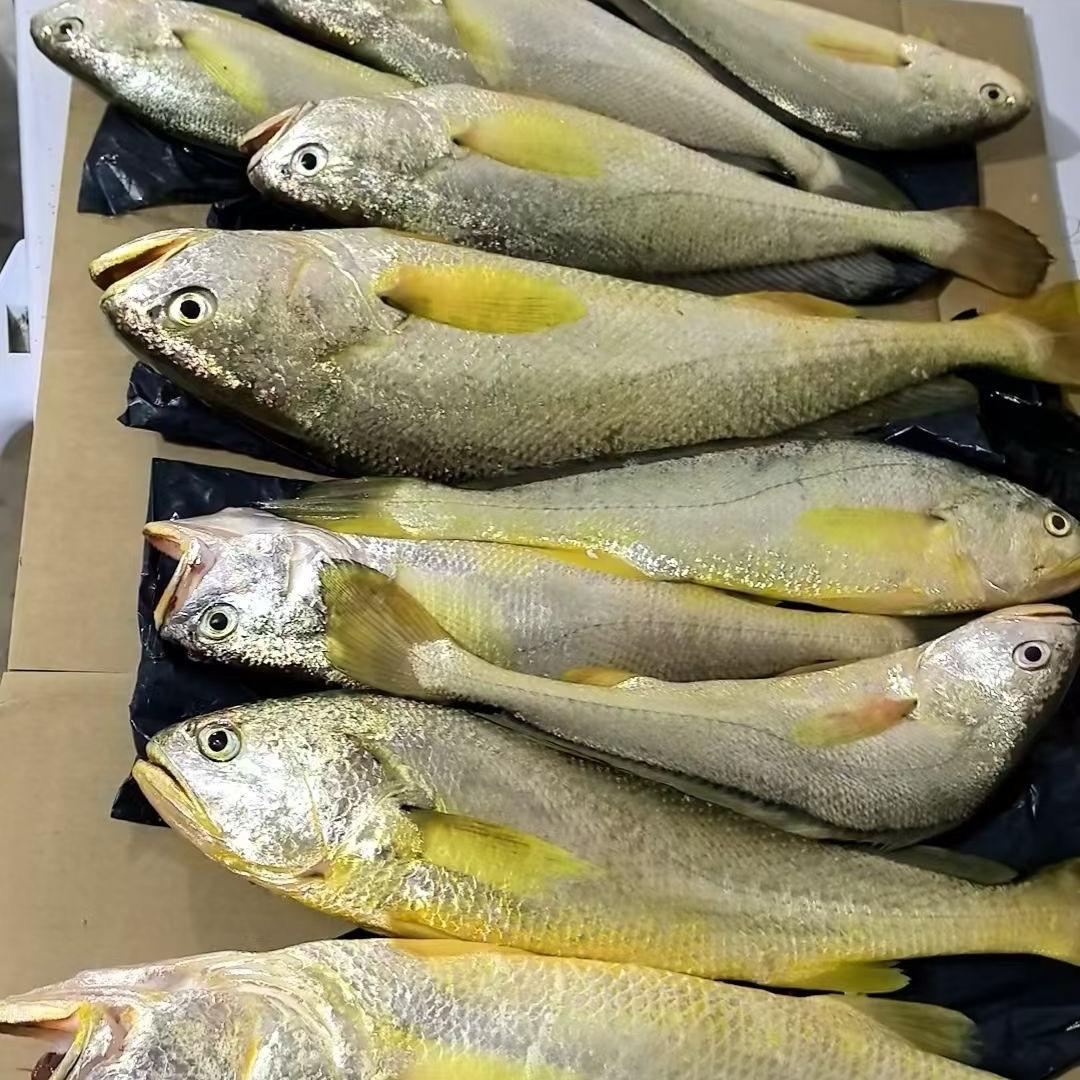 小白沙海鲜