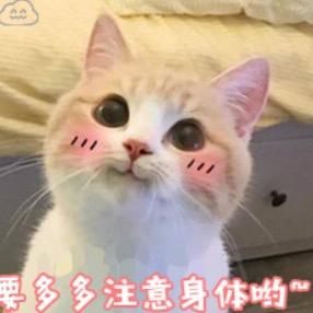 易风( ✌°∀° )😄