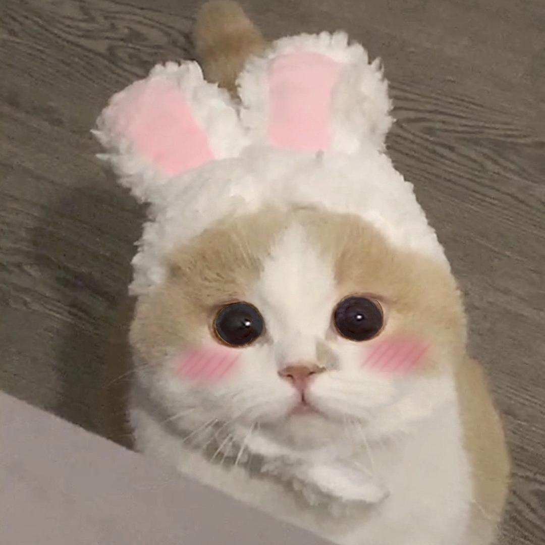 Kitty 凯蒂家纺店