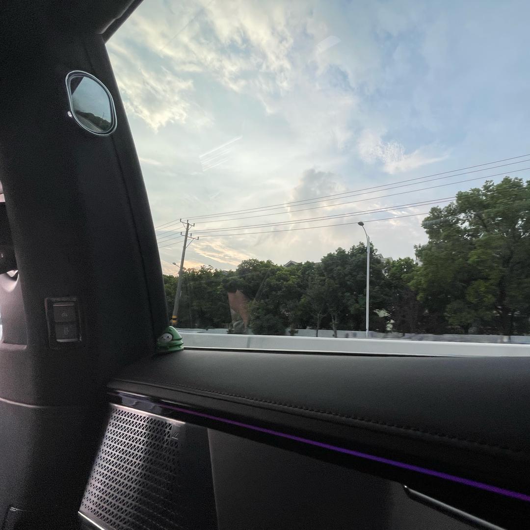 夏の桑
