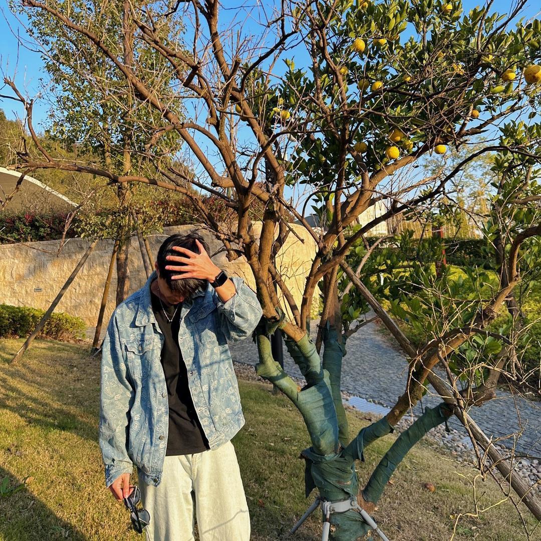蚂蚁🐜
