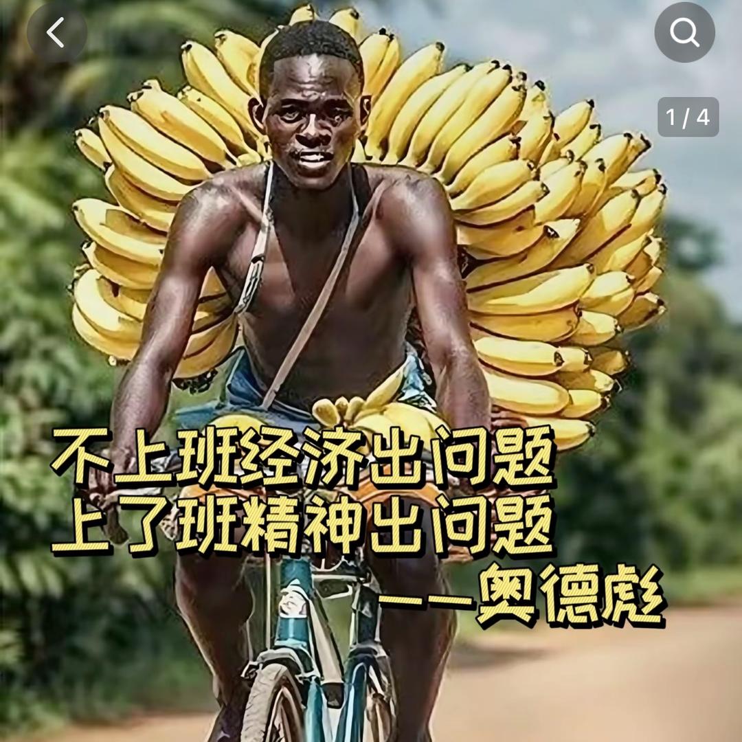 波哥👇一起一落是人生，一喜一忧是心情，