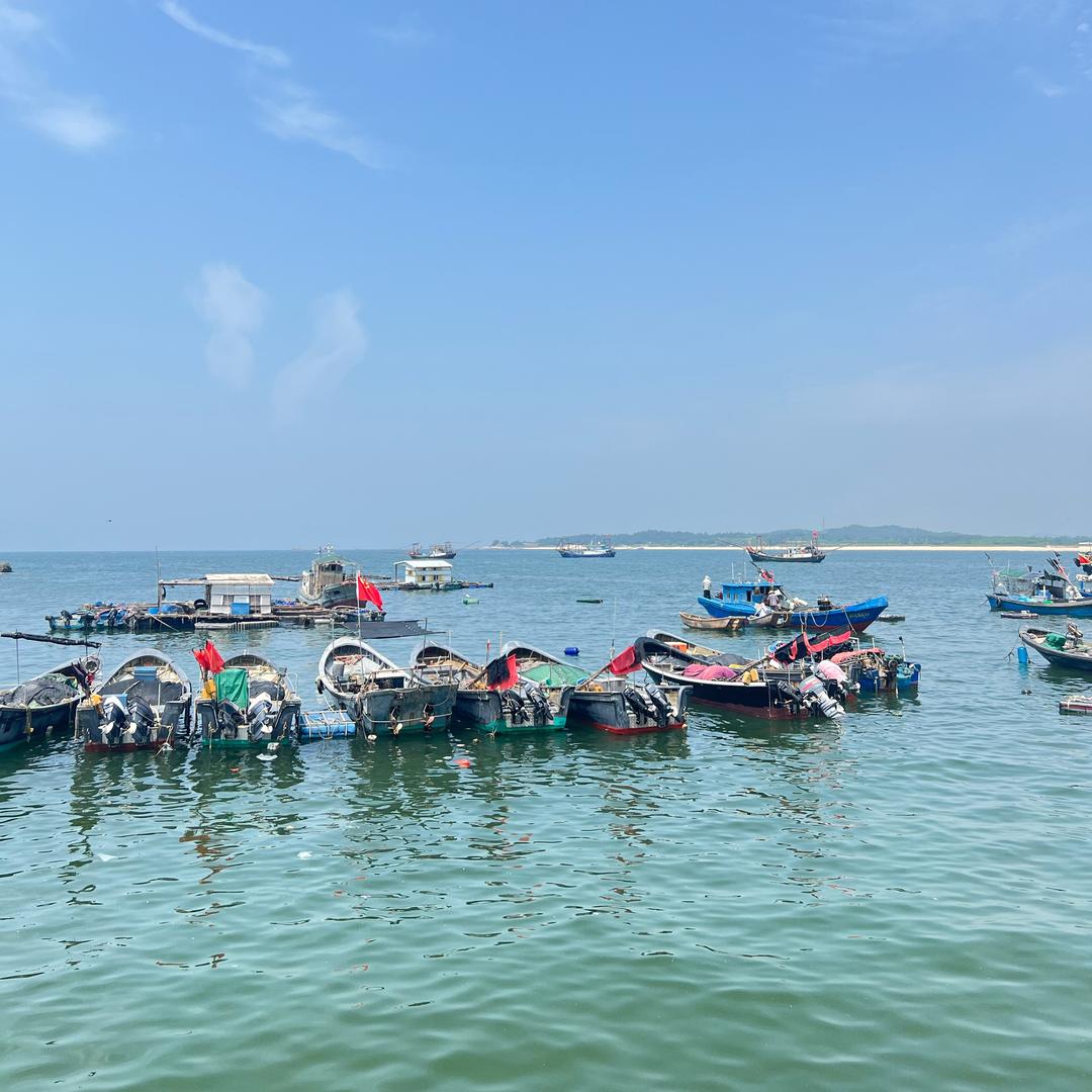 粤海领鲜（红海湾渔）