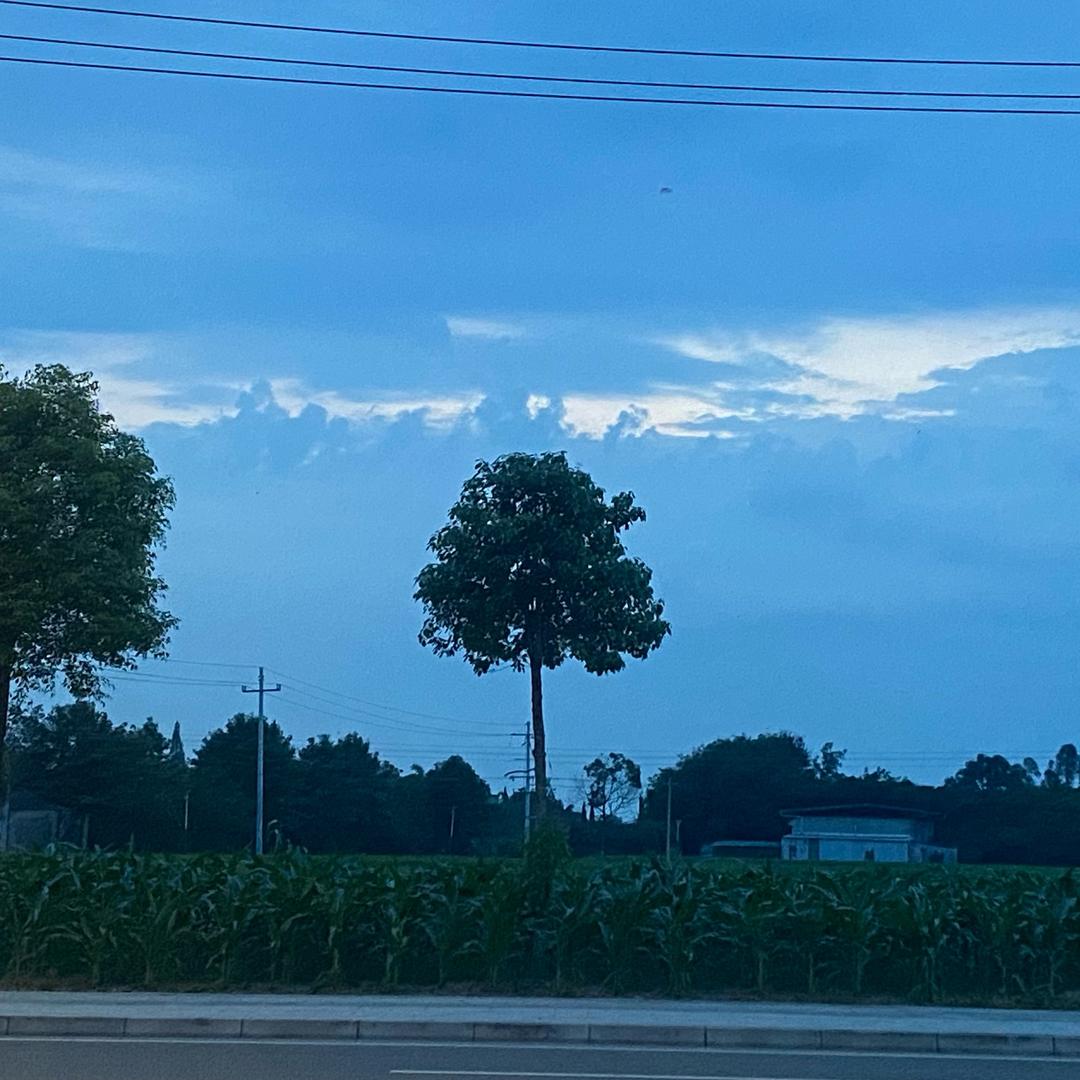 佑尊