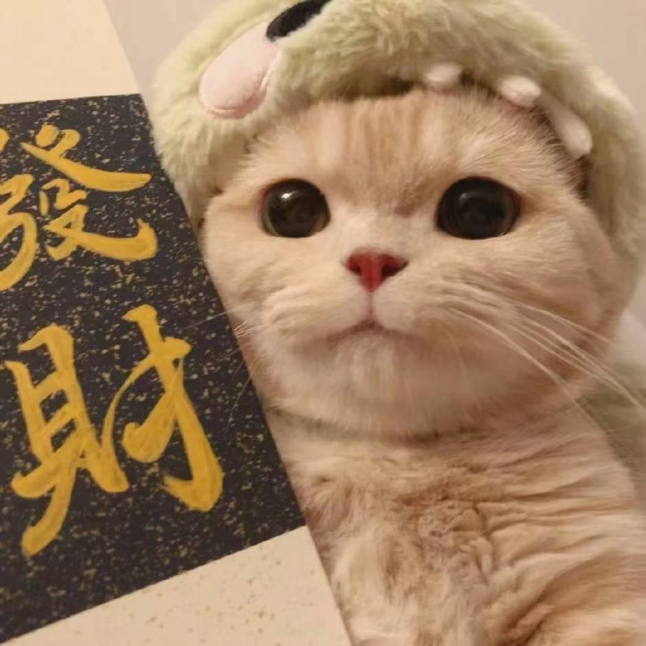 橘子Re
