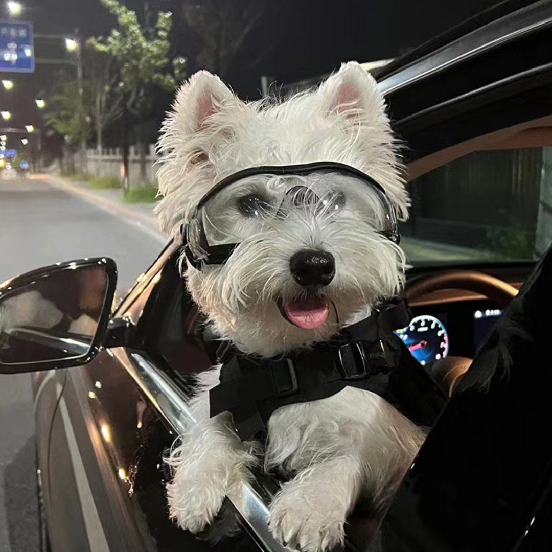 哈哈要开开_