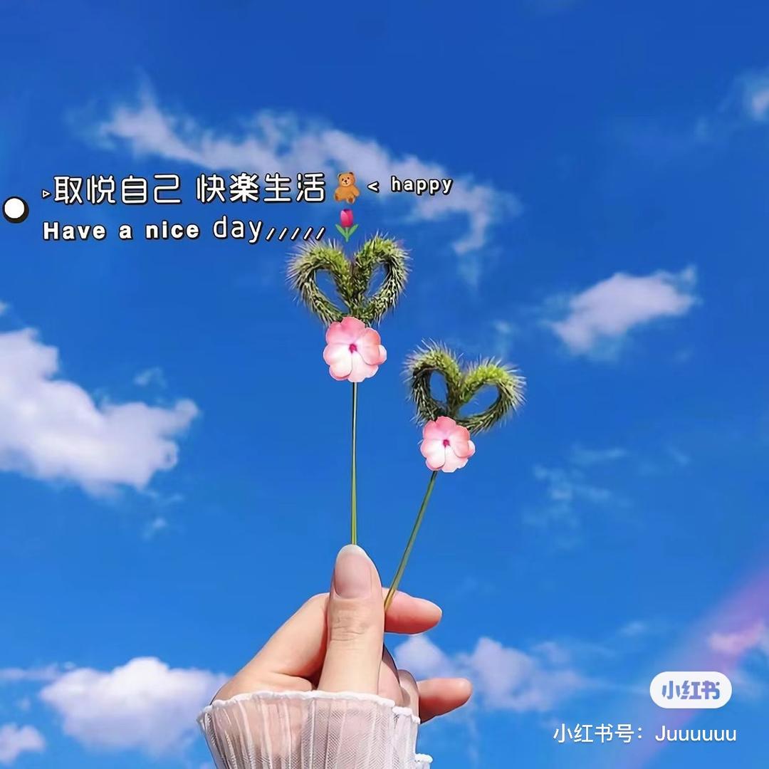 朵米🌱