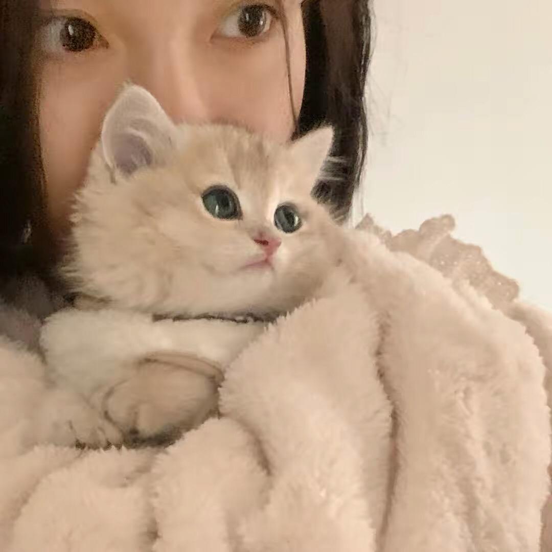 摸鱼小姚