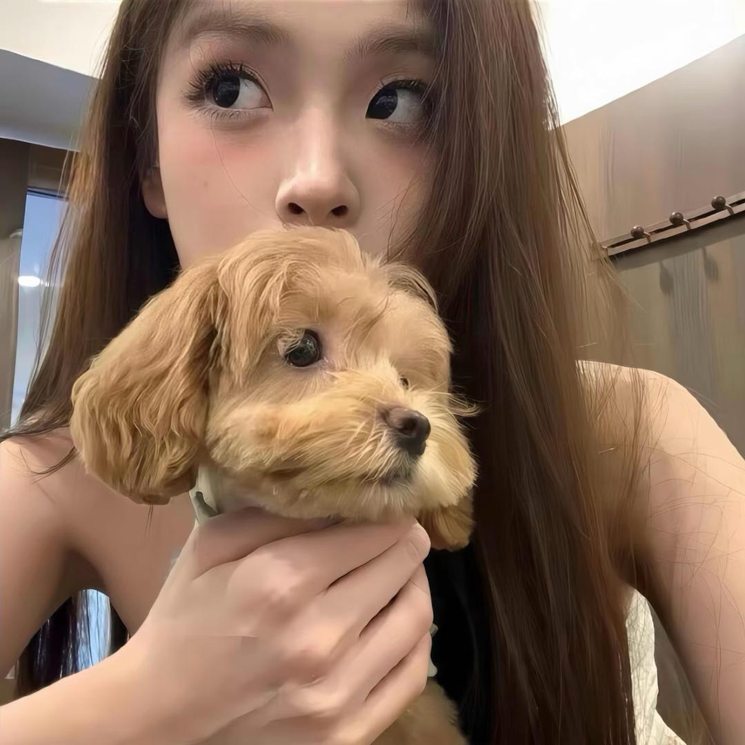 失眠酒心巧克力