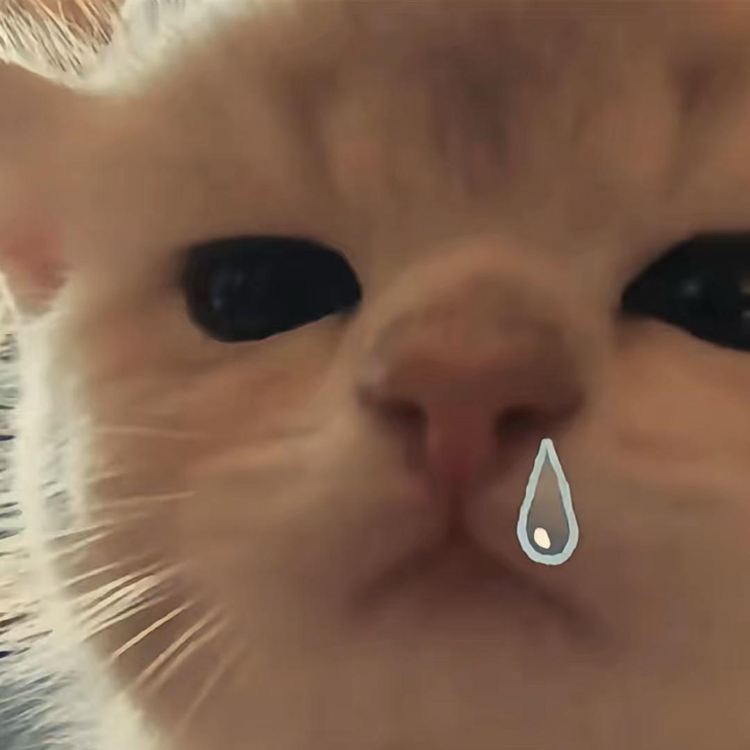 GkTz1🎾🍋‍🟩