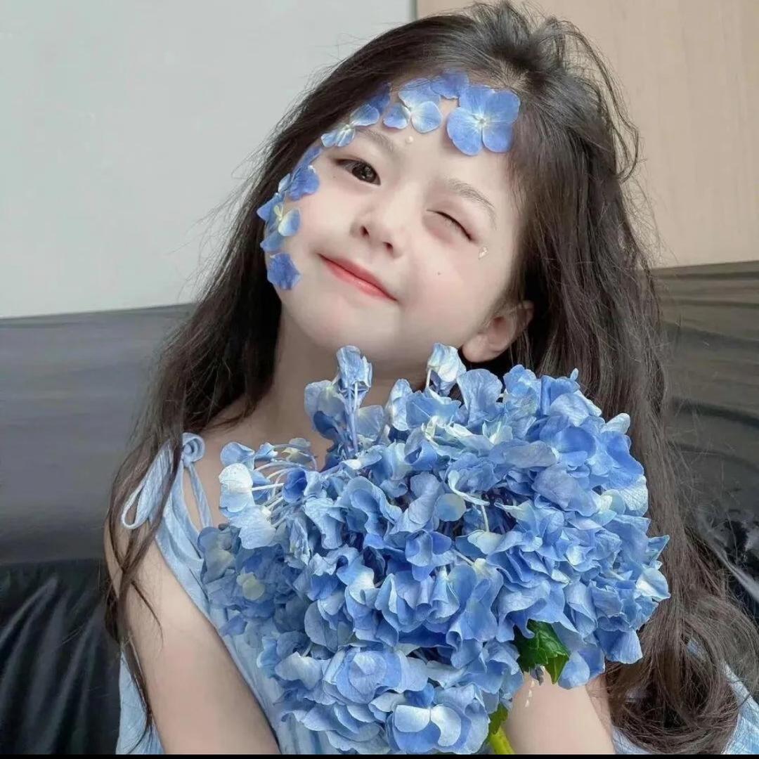 小苏在越南