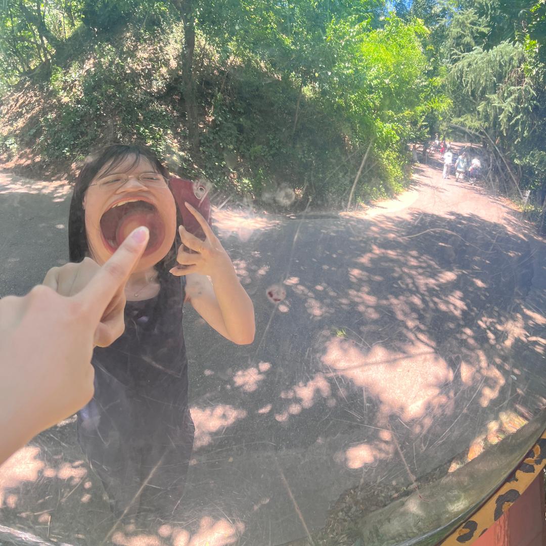 不知名的小可爱