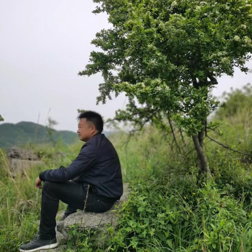 胡说八道