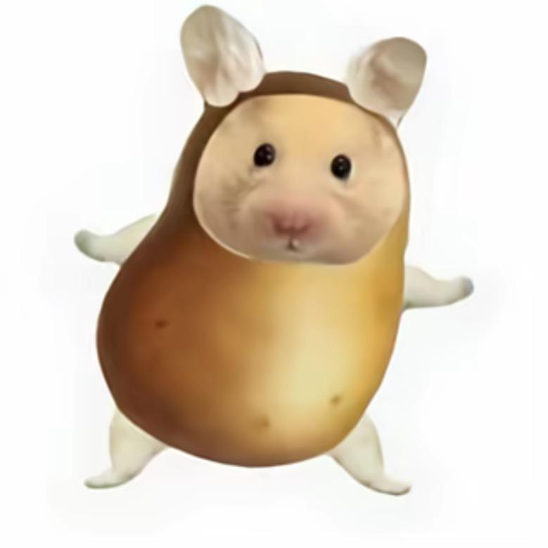 无敌小懒🐰