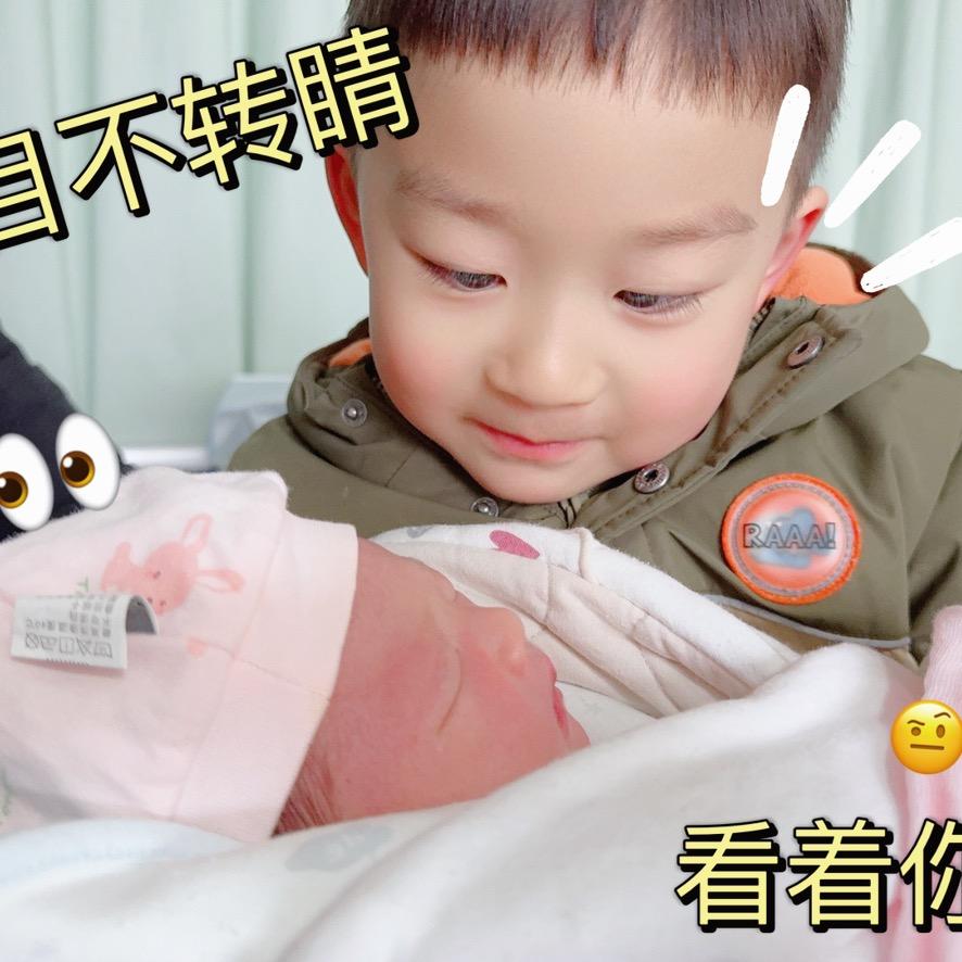 旭宝——若宝