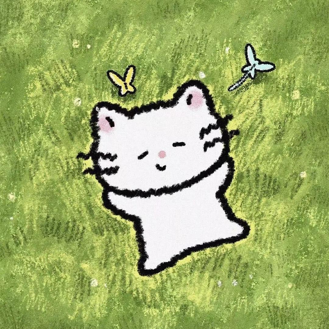 红裤头小姐