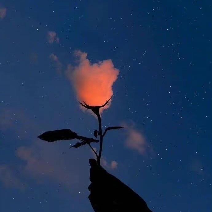 🌈⛅️Cloud⛈🌴MDY