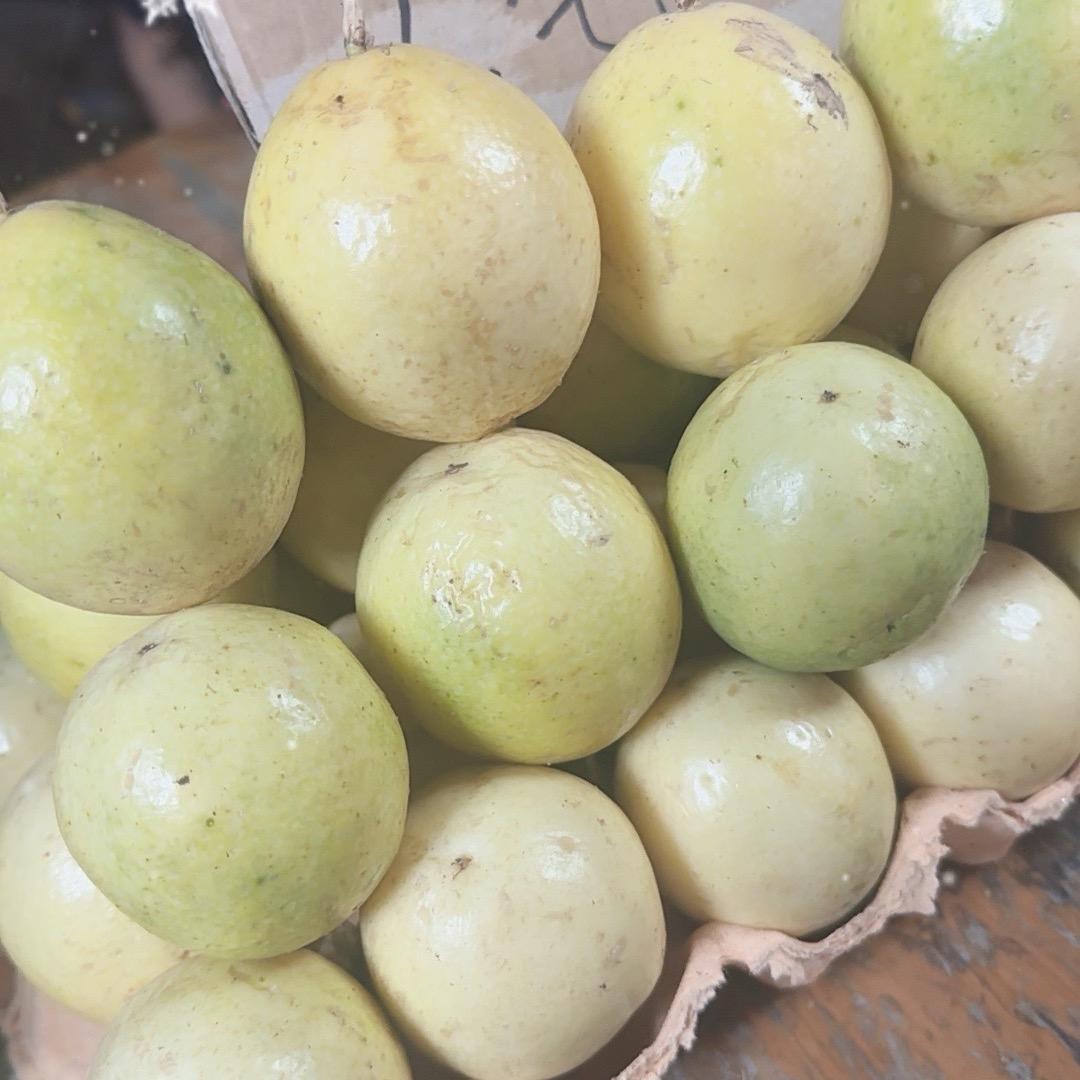 桥头地瓜小香薯全国代发