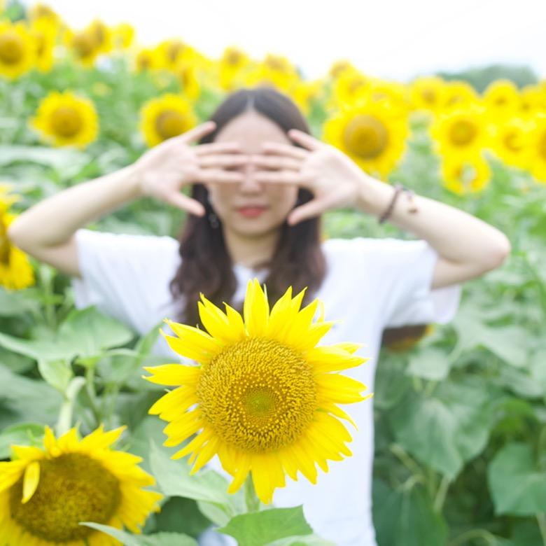 进击的阿云