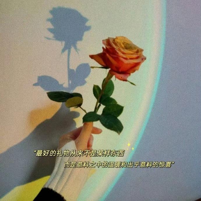 羽儿