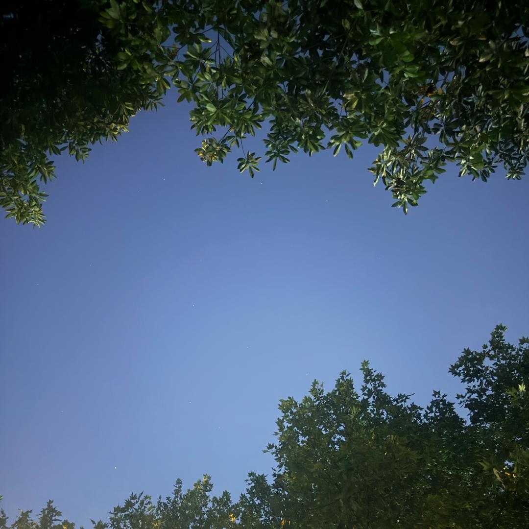 我不想有名字