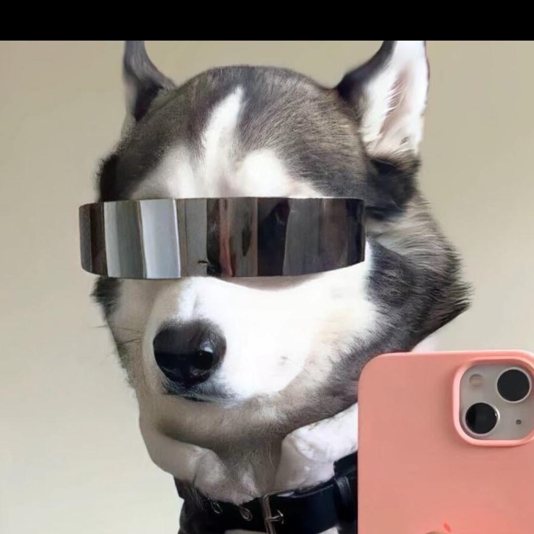 Rob