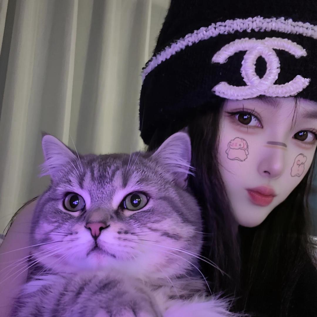 王美美