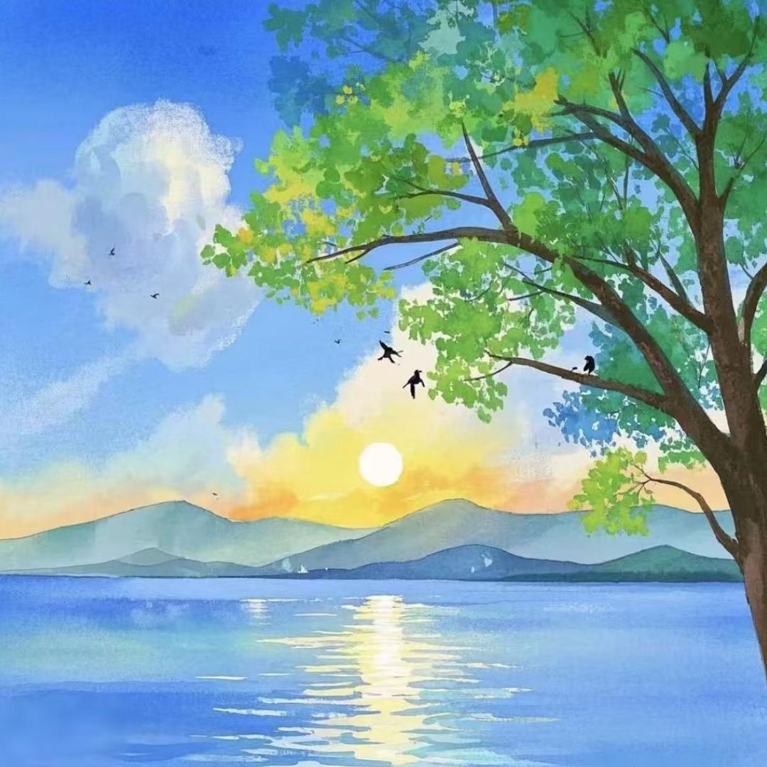 阳光🌅