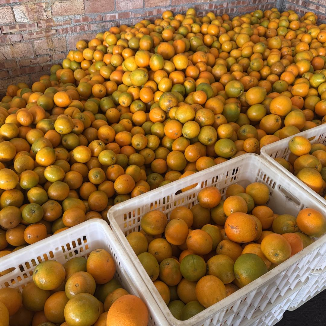 领帆跳动严选助农企业店