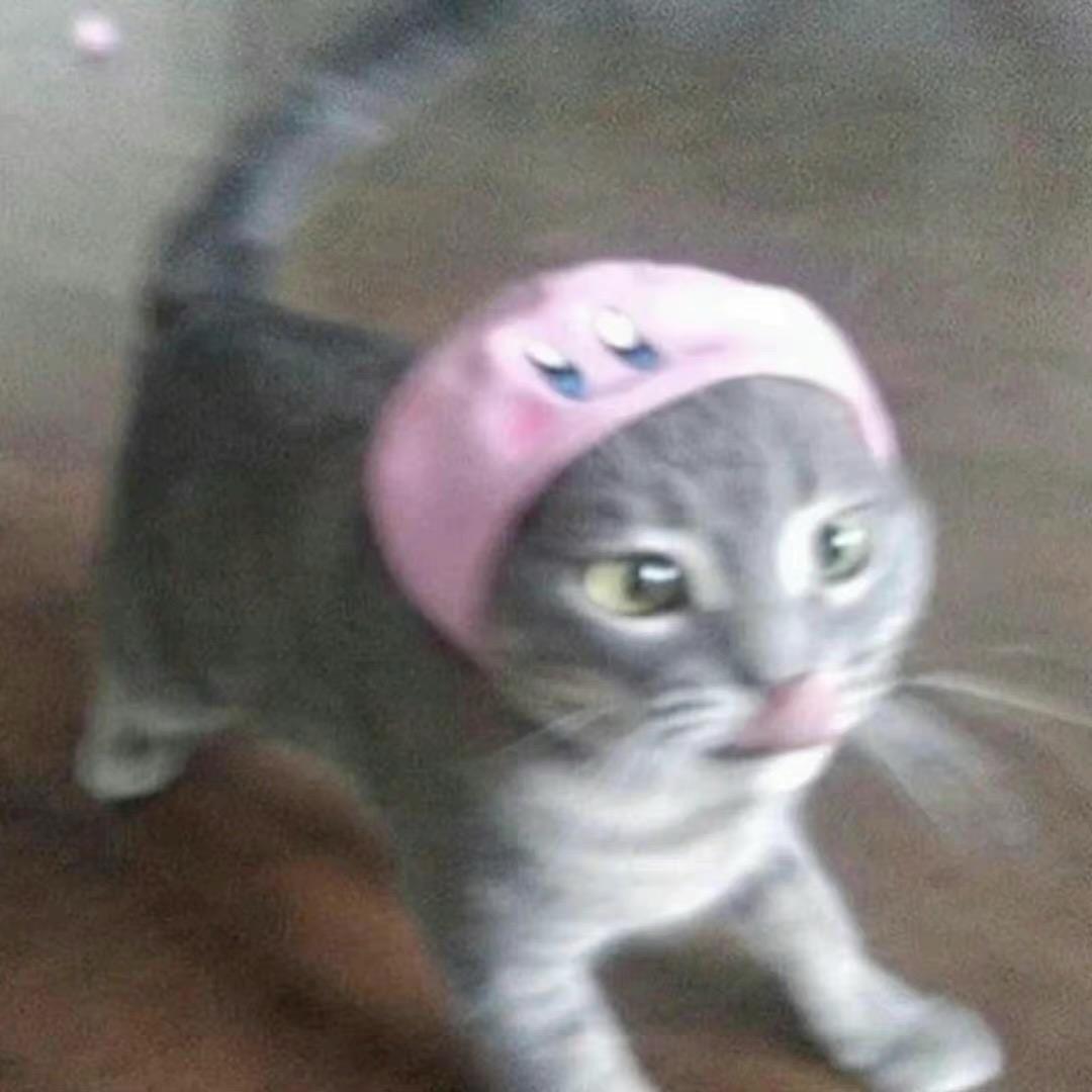 小满西西