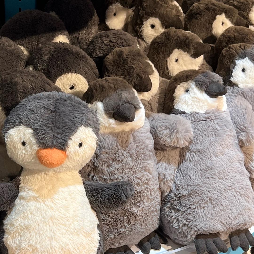 🐧小羊困困.