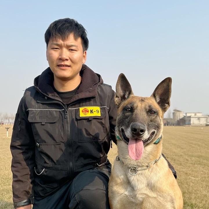 马犬 先生