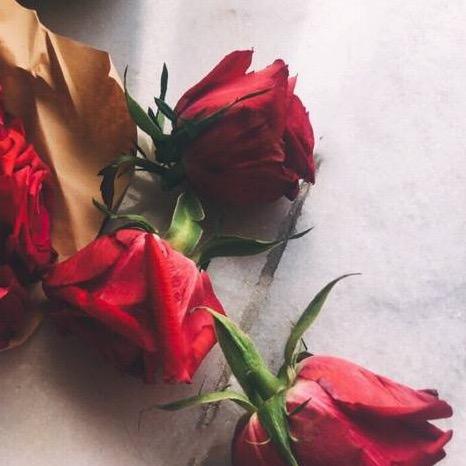 琴姐🌺🌹