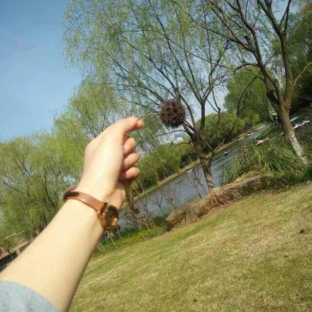 是盼盼呀