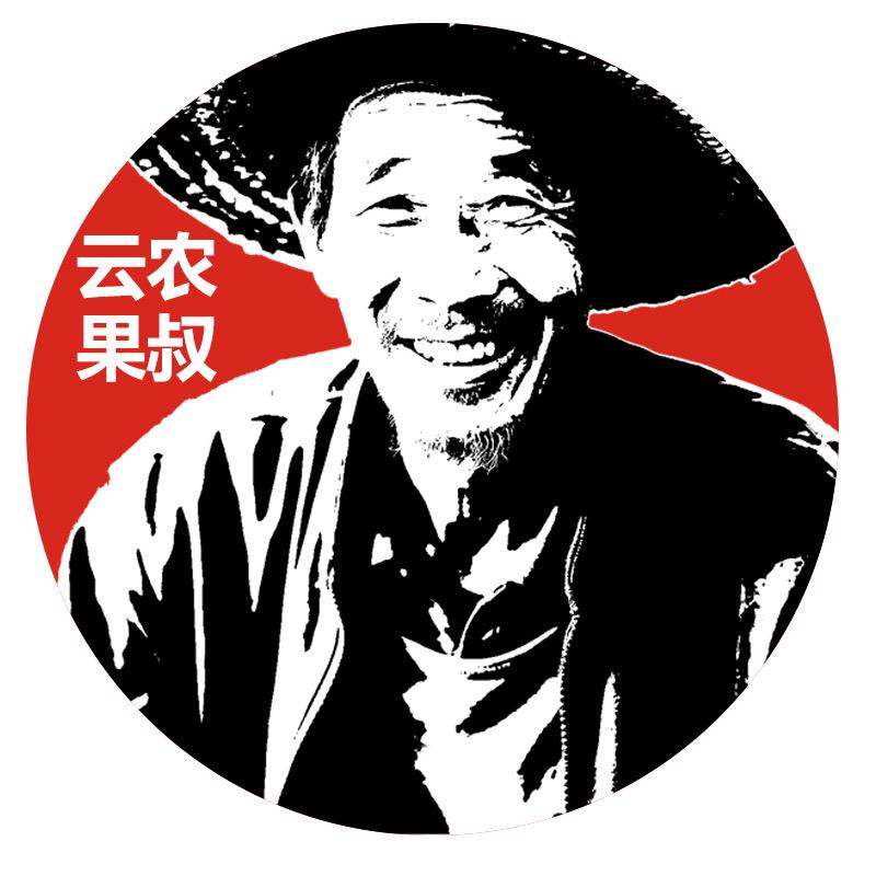 云农果叔严选店