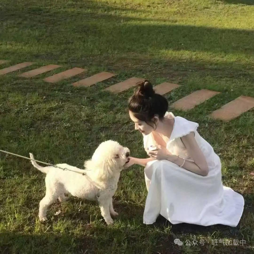 是茜茜嘻嘻呀