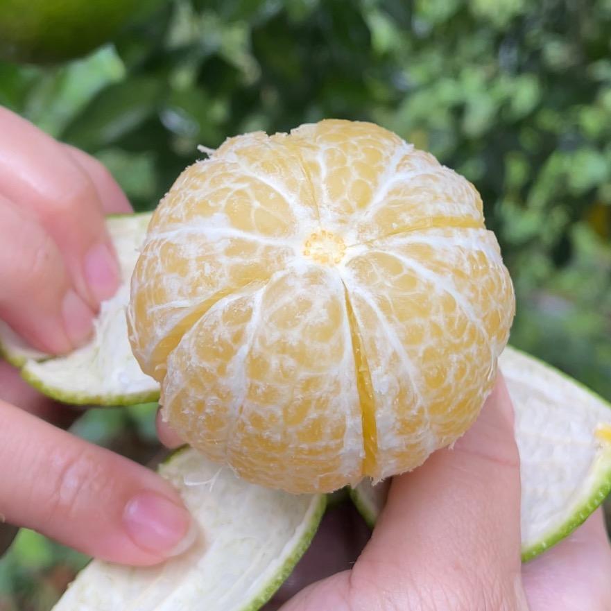 好吃水果