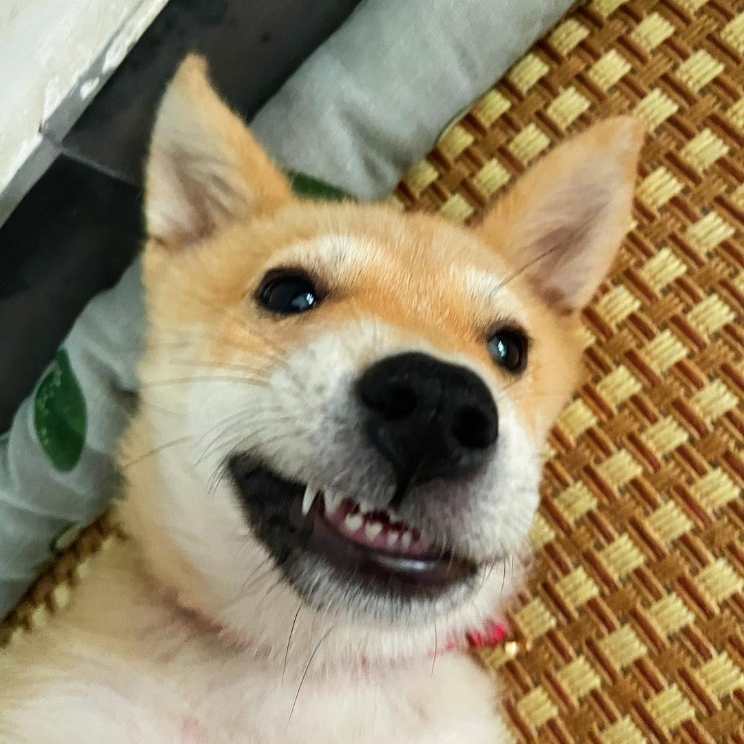 小芳云的千万