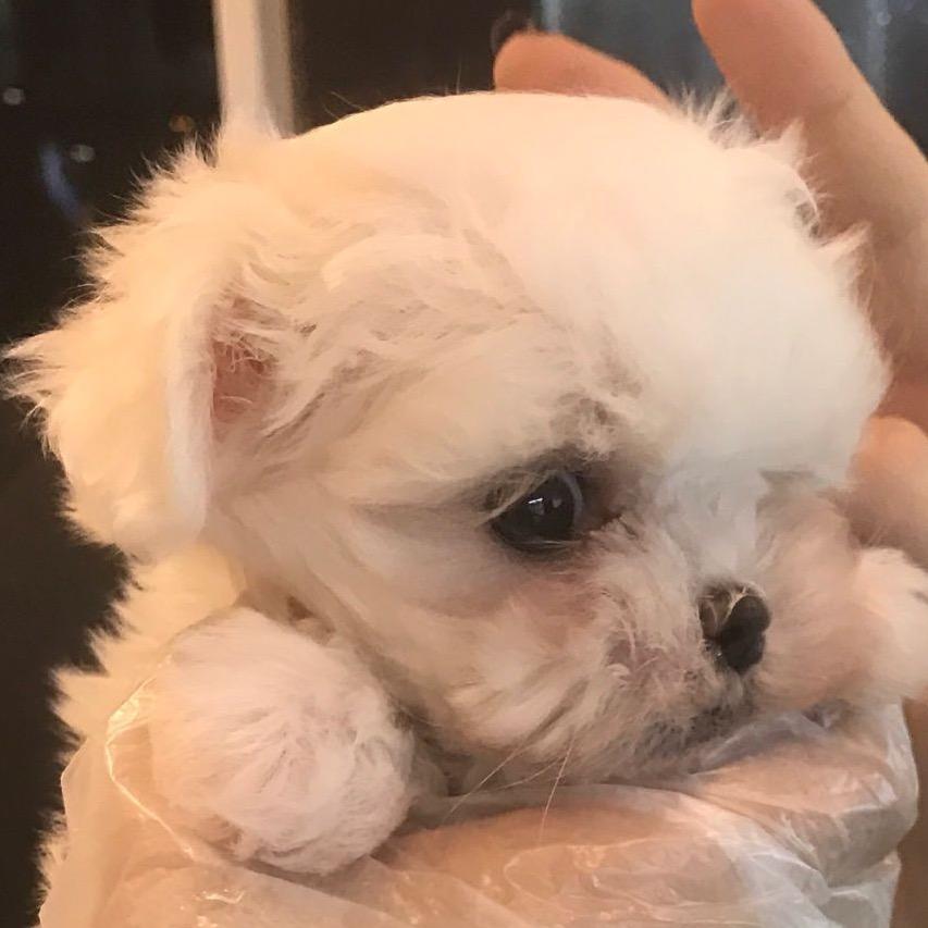 调皮的崽崽🐻⁸⁰³