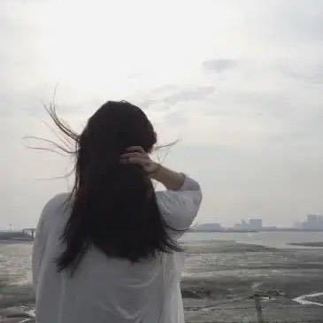 莉莉飞行日记
