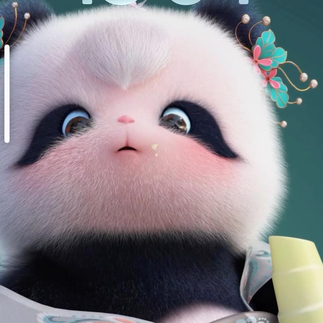 熊猫🐼