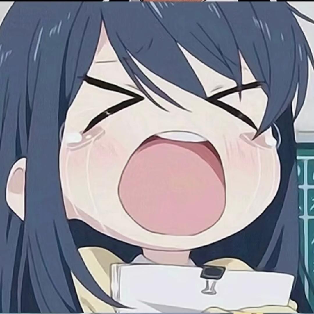 沈公子