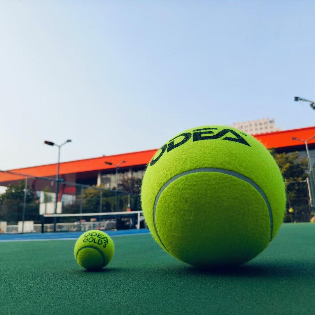来来往“网”🎾网球