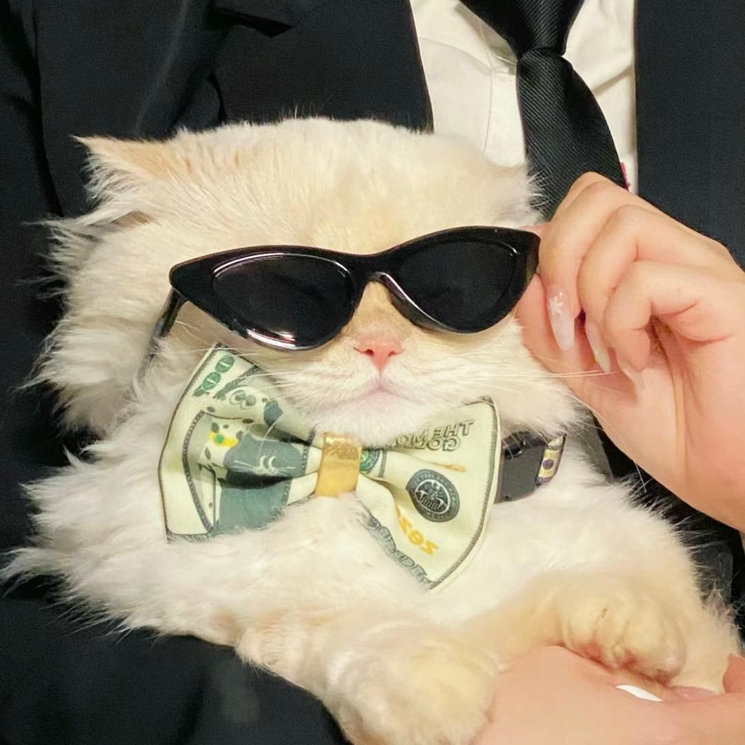 安安的碎碎念