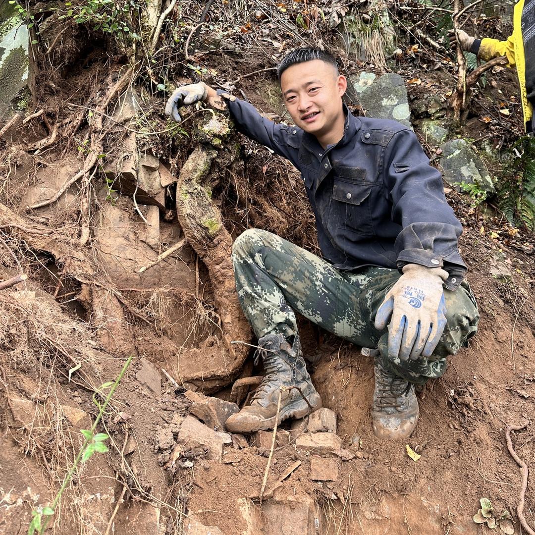 阿亮亮（皖南滋补山货）