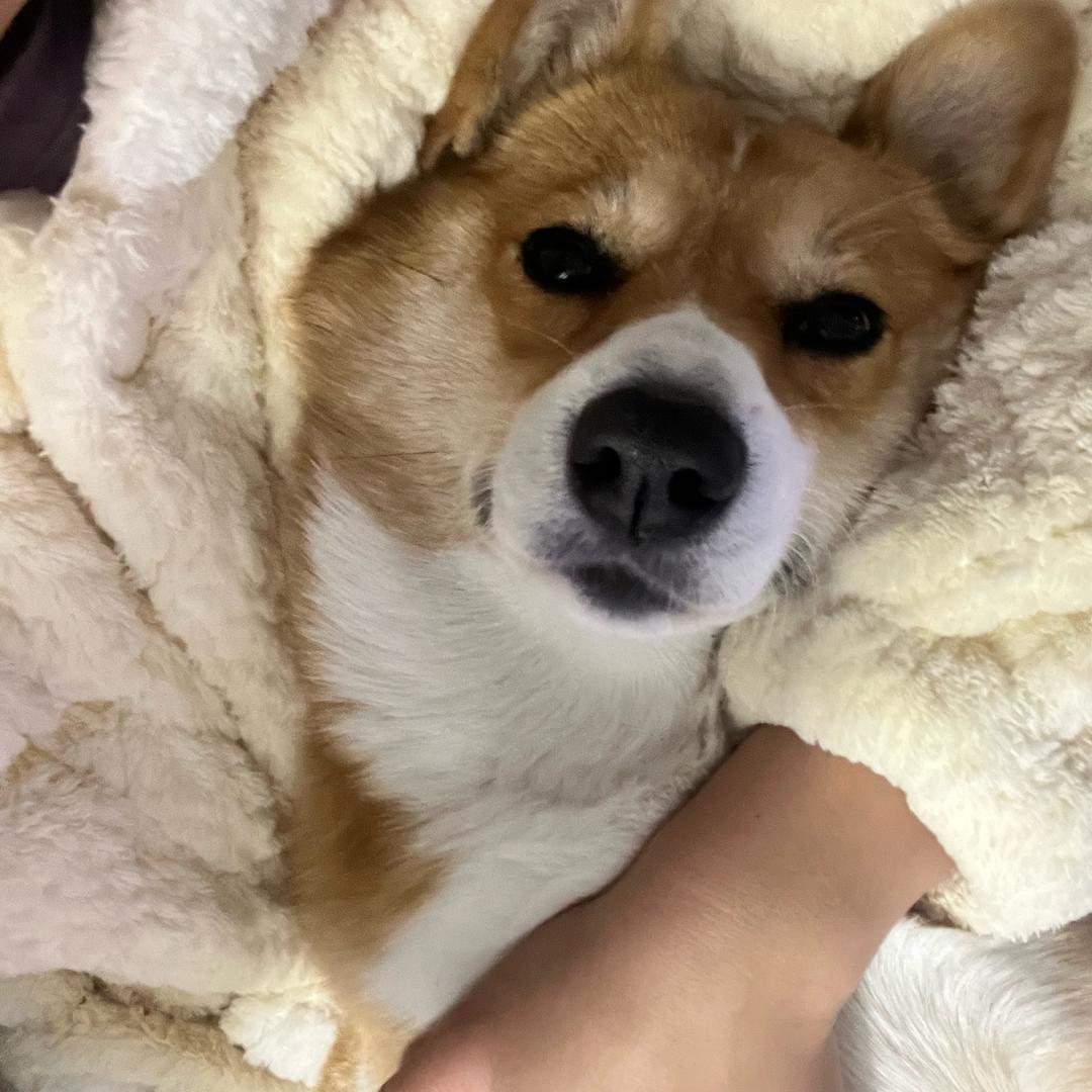 时清🐶