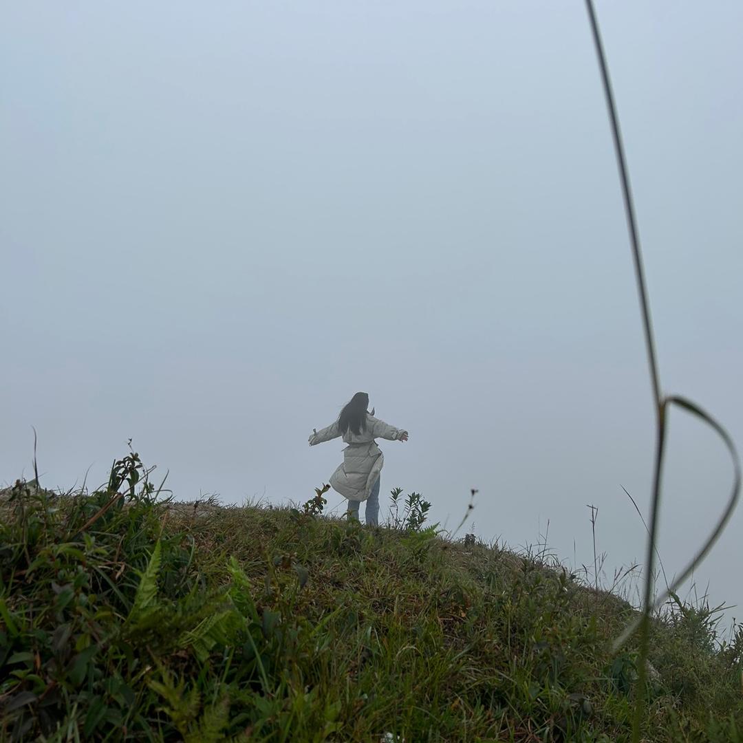 小荞鲜奶订